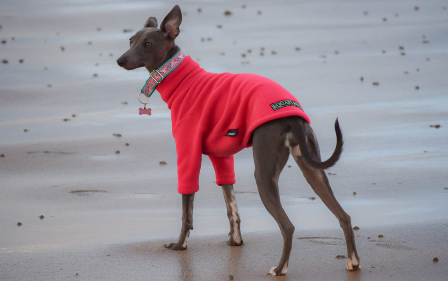 Hundepullover Kleidung Hund Mantel Hundejacke Winter Rollkragen Wind Shirt Pulli