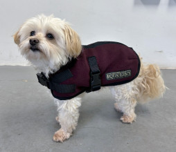 Hundejacke, Maulbeere