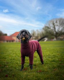 Hundeanzug, Maulbeere