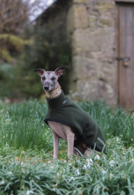 Rollkragenjacke, Dunkelgrün