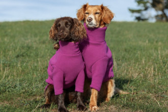 Hundepullover, Wilder Fingerhut