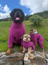 Hundeanzug, Hundepullover, Dackelpullover, Wilder Fingerhut