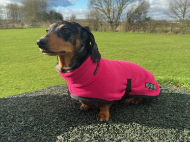 Rollkragenjacke, Rosa