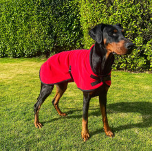 Hundejacke, Rot