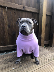 Hundepullover, Hellila
