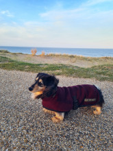 Rollkragenjacke, Maulbeere