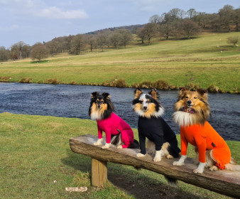 Sommeranzug, Leuchtend Orange, Schwarz, Himbeere
