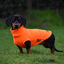 Dackelpullover, Leuchtend Orange