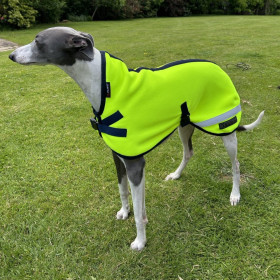 Hundejacke, Neongelb
