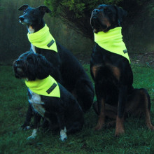 Neon-Halstuch, Neongelb