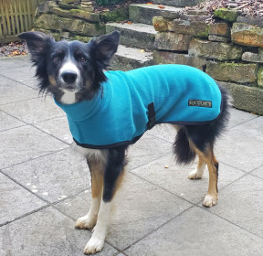 Rollkragenjacke, Türkis