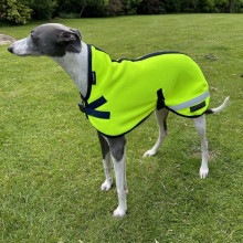 Hundejacke, Neongelb
