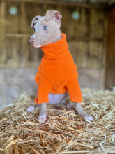 Hundepullover, Leuchtend Orange
