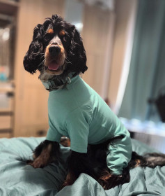 T-Shirt-Anzug, Minzgrün T-Shirt-Anzug, Minzgrün