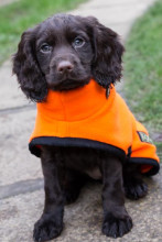 Rollkragenjacke, Leuchtend Orange