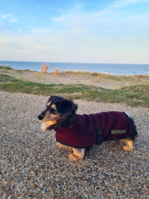 Rollkragenjacke, Maulbeere