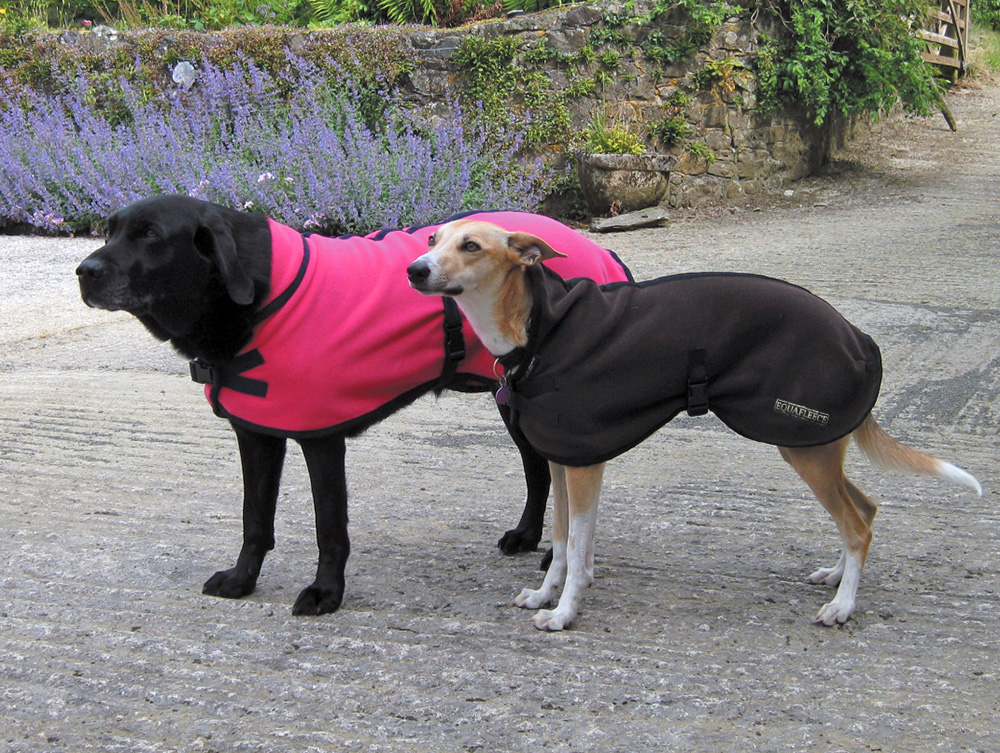 equafleece hund