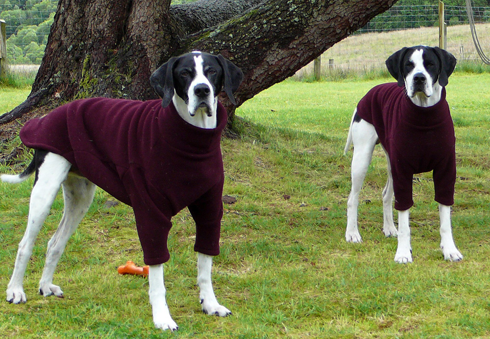 Fotogalerie Equafleece