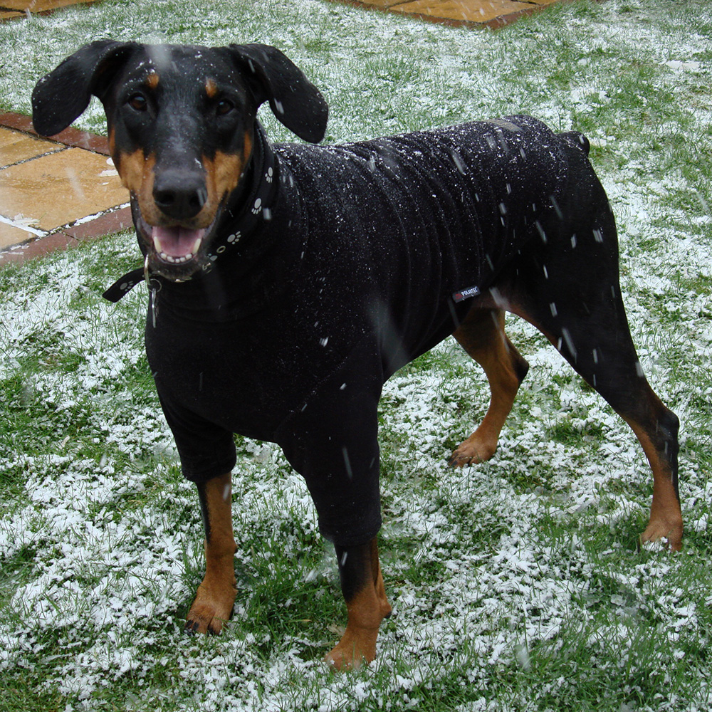 Fotogalerie Equafleece